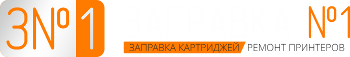 logo zn1 v2 w